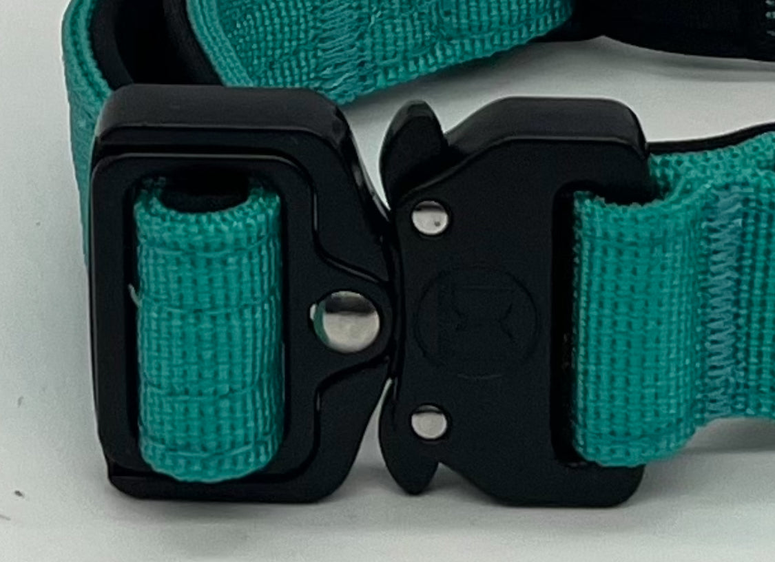 2.5cm Active collar | WITH HANDLE - Tiffany blue