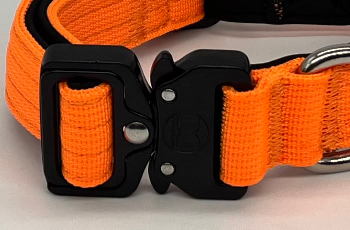 2.5cm Active collar | WITH HANDLE - Orange