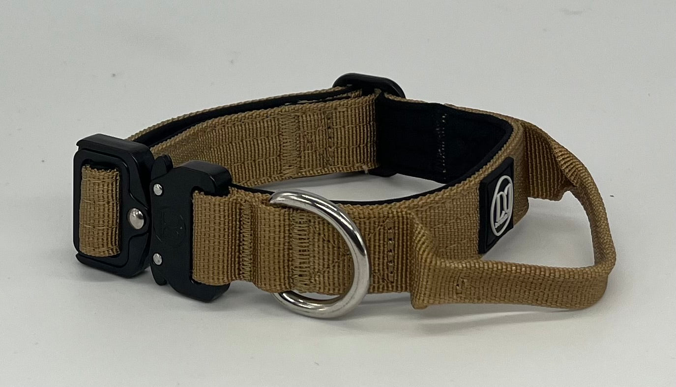 2.5cm Active collar | WITH HANDLE - Stone