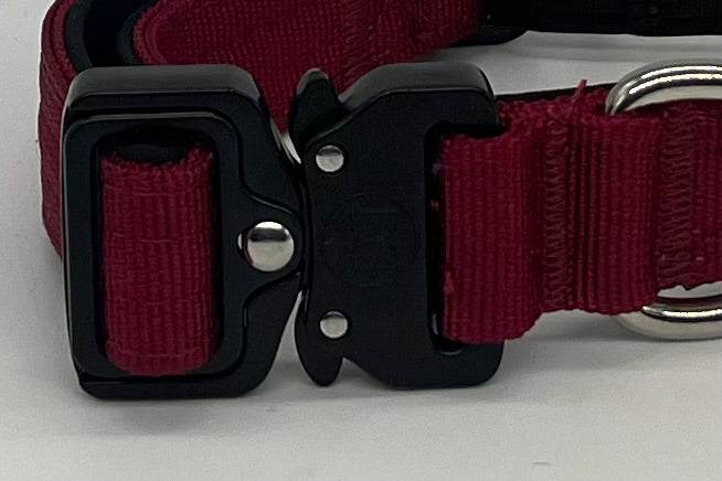 2.5cm Active collar | WITH HANDLE - Burgundy