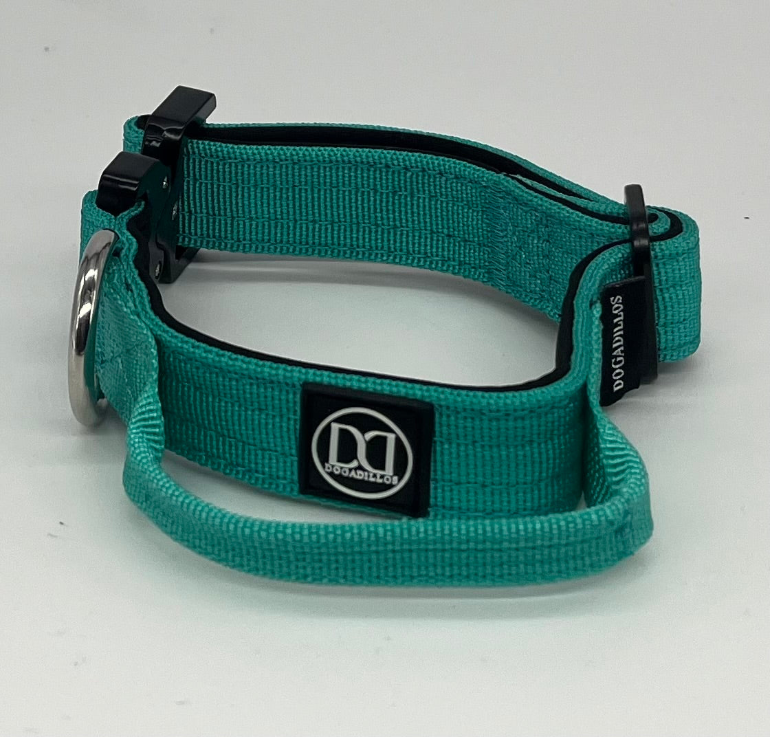 2.5cm Active collar | WITH HANDLE - Tiffany blue